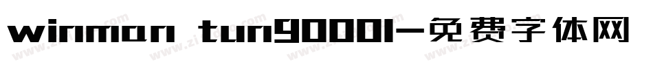winman tun90001字体转换